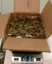 900 17 Pds Vintage Curtis Uncut Key Blanks.auto 1950s-1980s Vw.fordmerc. Etc