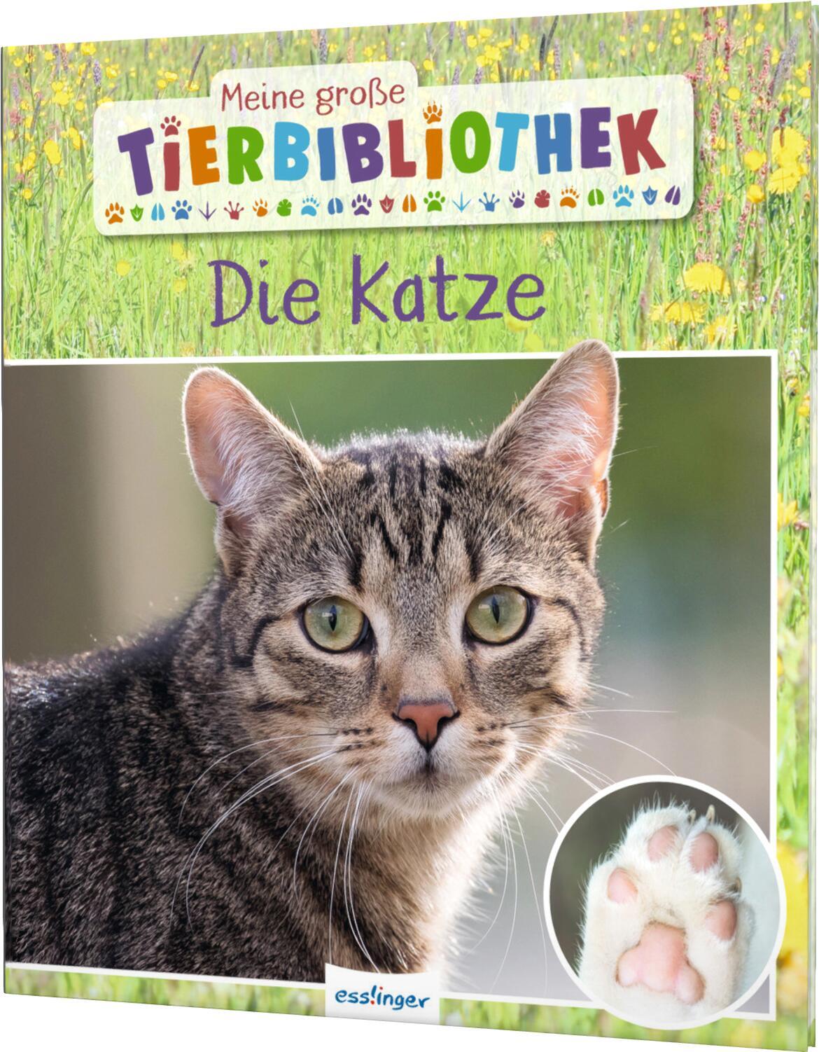Thumbnail - Stéphanie Ledu-frattini / Meine Große Tierbibliothek: Die Katze