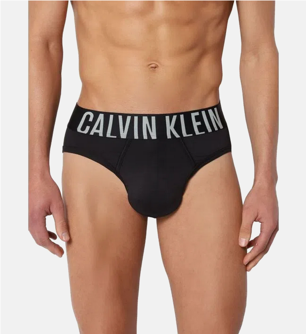 Calvin Klein Intense Power Microfiber Stretch Hip Brief 3- Pack
