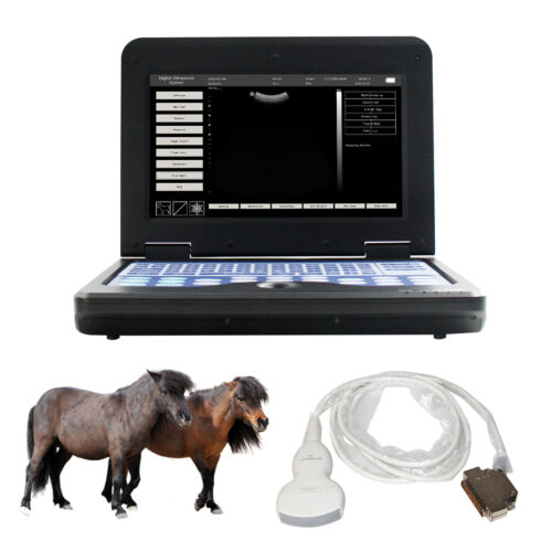 Portable Ultrasound Scanner Veterinary Laptop Machine with 3.5Mhz Convex Probe - Picture 1 of 12