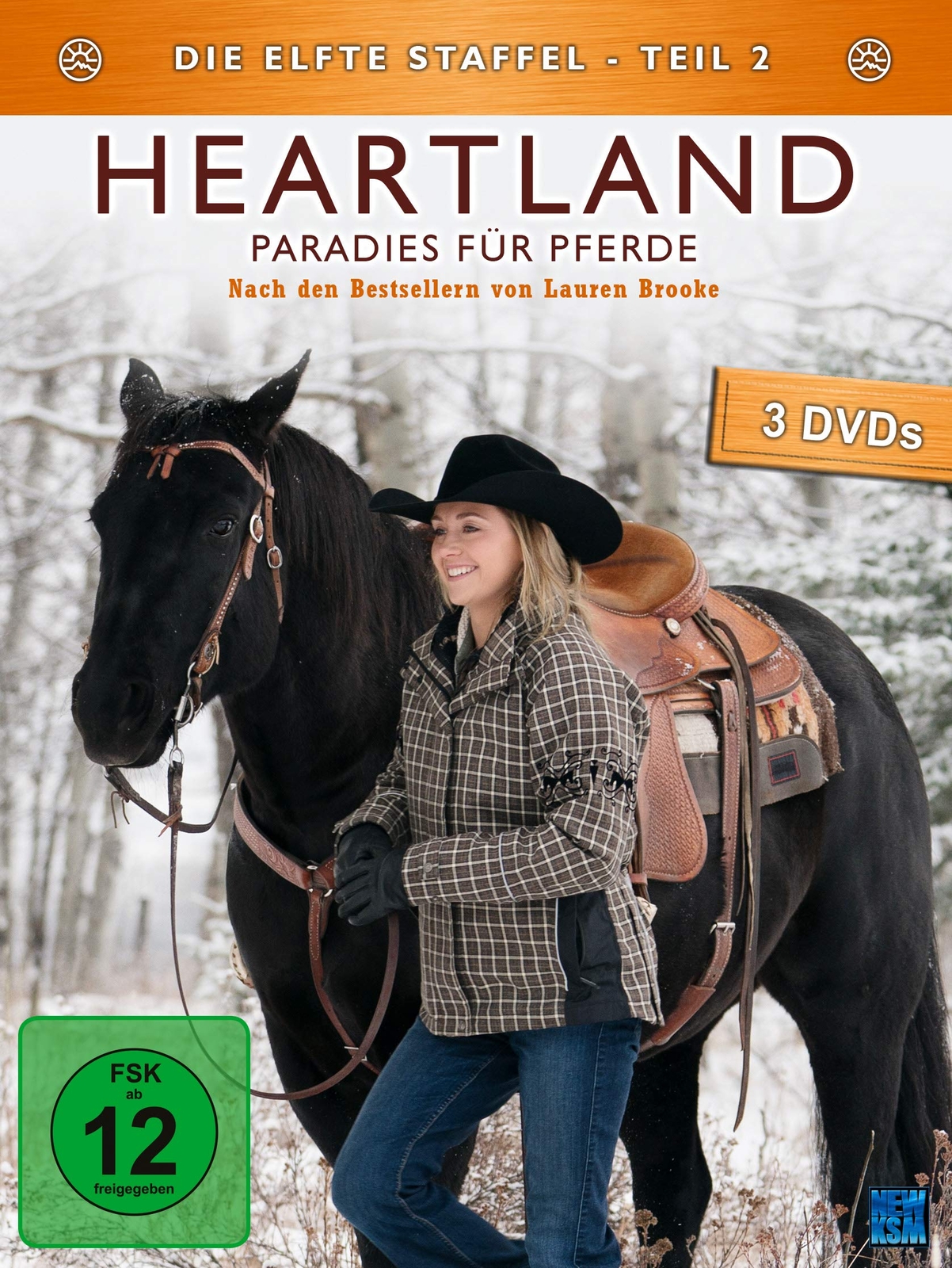 Heartland - Paradies für Pferde, Staffel 11.2 (DVD)