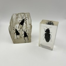 Vintage Insect Bugs in Acrylic Lucite Clear Resin Set of 2