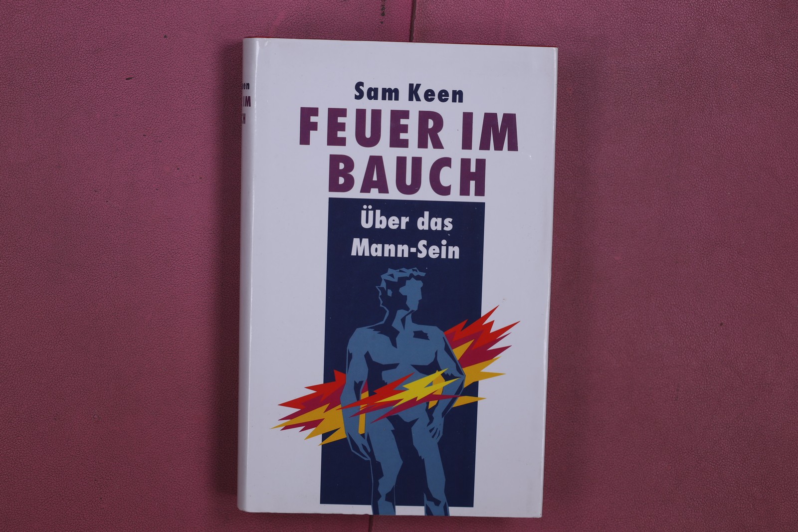349003 Sam Keen FEUER IM BAUCH Deutscher Taschenbuch Verlag Über das Mann Sein