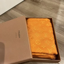 Louis Vuitton Scarf SeeDescription Orange SeeDescription