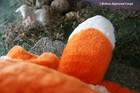 Bild 8 von 11
