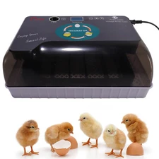 12 Eggs Incubator LED Chick Incubator Egg Hatcher for Chicken Eggs