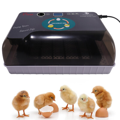 12 Eggs Incubator Digital Mini Incubator for Chicken Duck Quail Bird Eggs