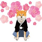 japanorld