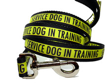 Service Dog in Training Leash 1 inch width Custom dog leash choose length