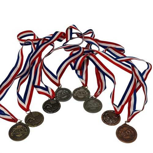Lot of 8 Swimming Competition Medals Gold Silver Bronze Red White Blue Ribbons