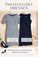 Ann Taylor & Lands' End Petite Dress Bundle Sz 4P Work Sheath Career Classic