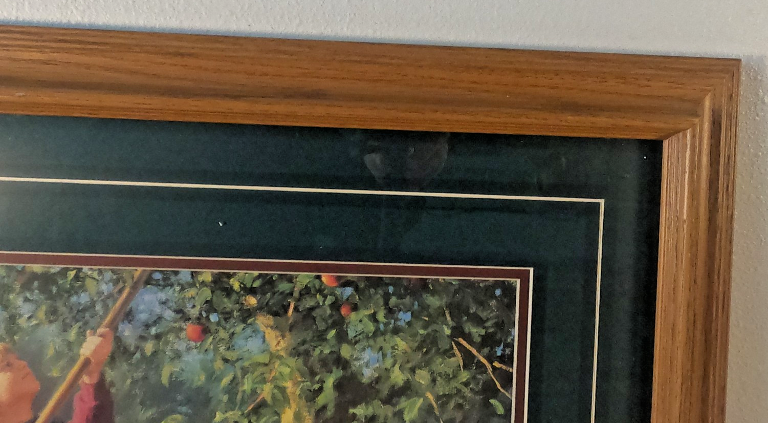 Picture 3 of 11