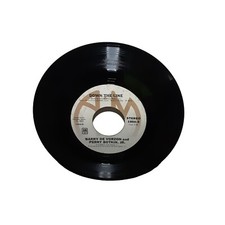 Barry De Vorzon Perry Botkin Jr Nadias Theme 45 Record A&M 1856 1976 Barry De Vorzon Perry Botkin Jr Nadias Theme 45 Record A&M 1856 1976