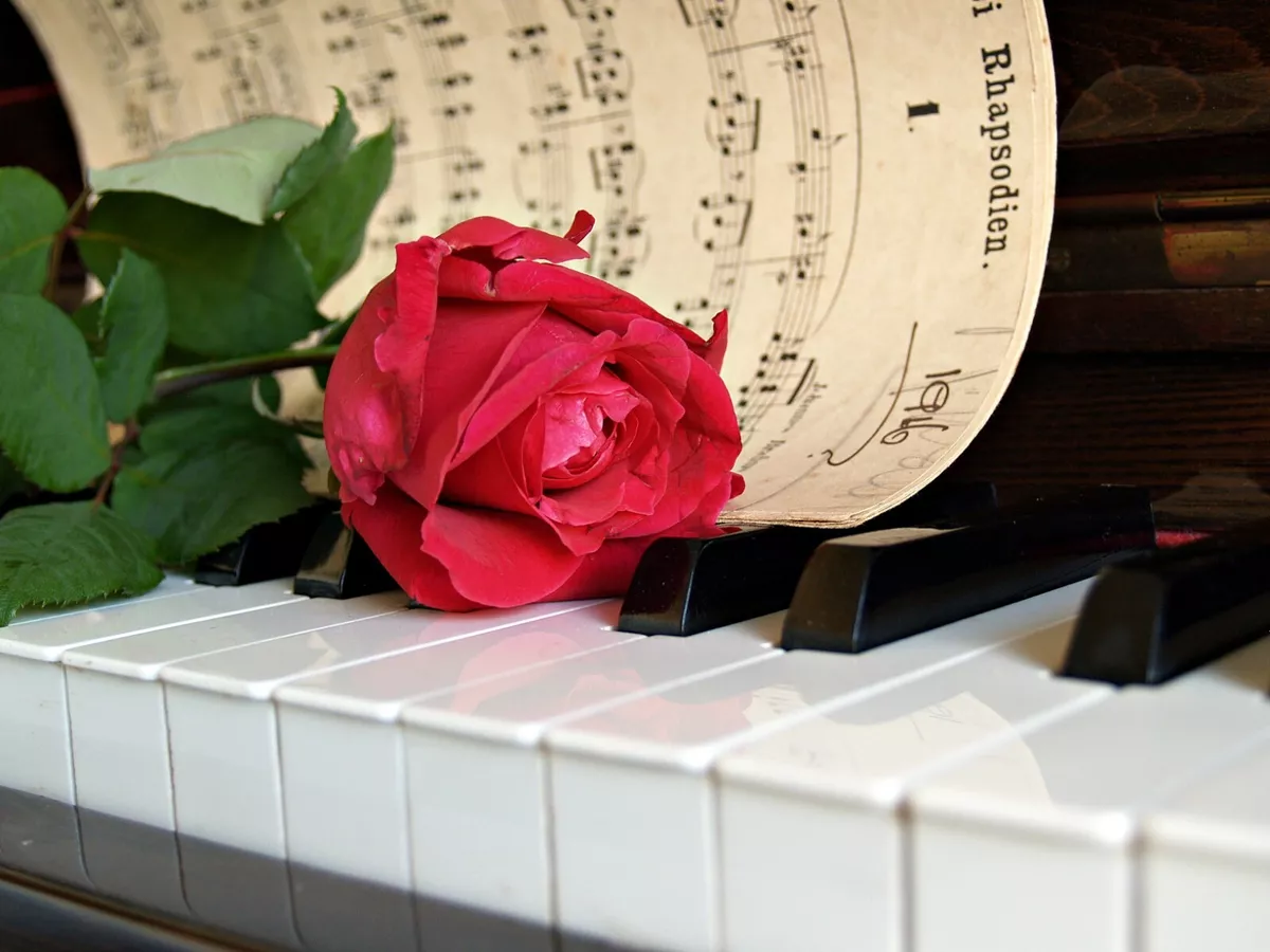 Red Rose Flower Piano Keyboard Music HD POSTER | eBay
