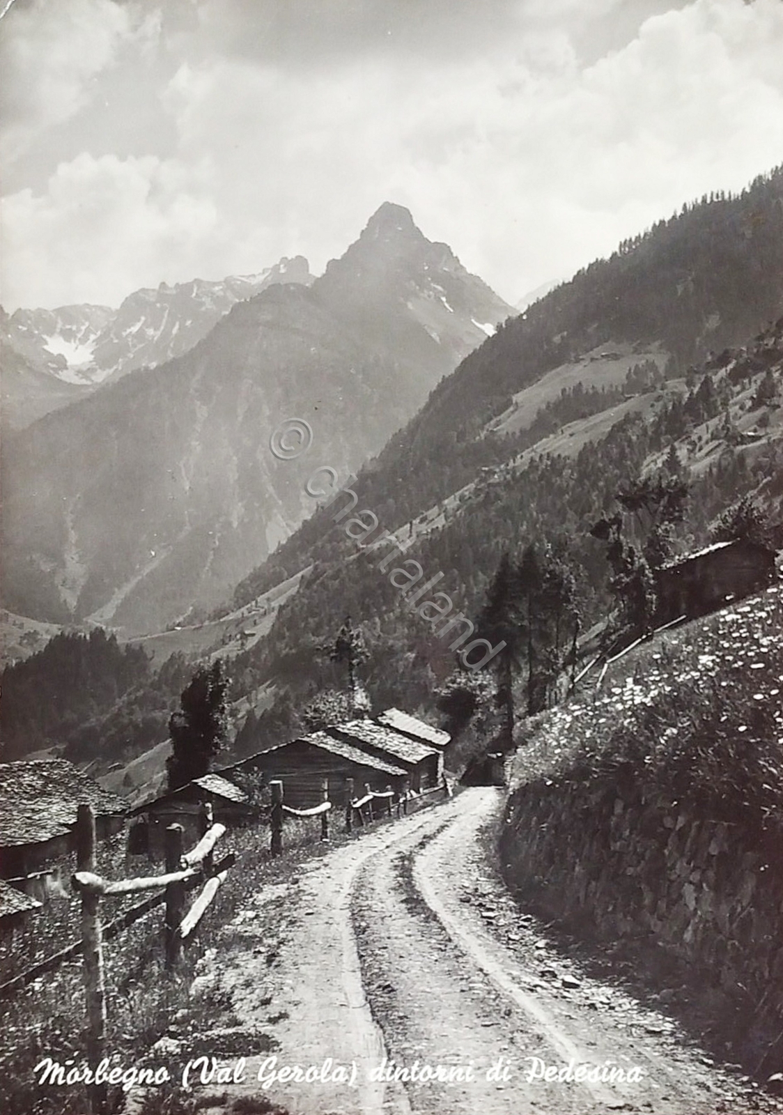 Foto 1 di 2
