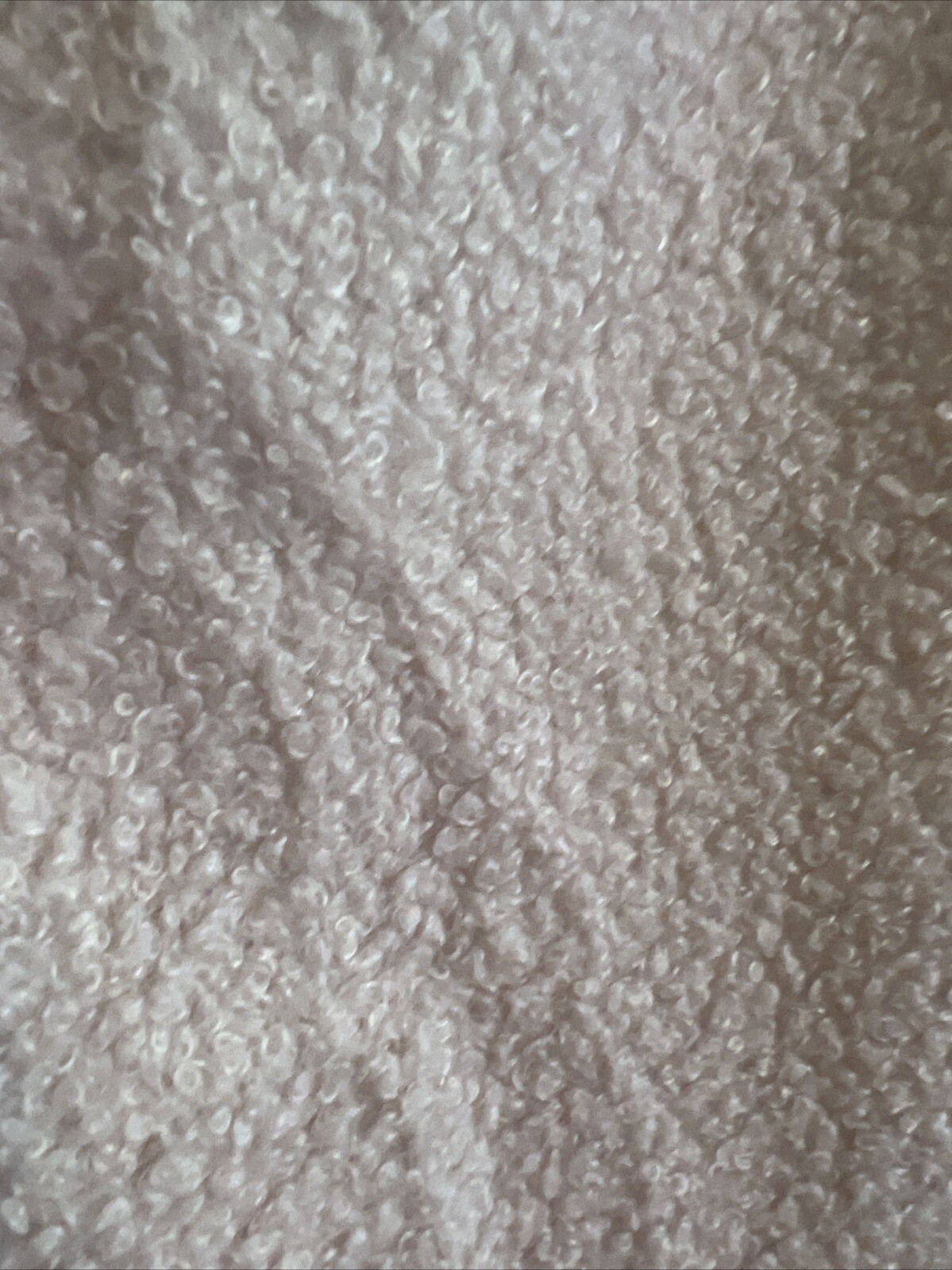 Picture 8 of 10