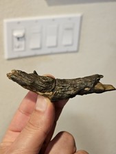 Hot Toys Star Wars ROTJ Han Solo MMS740 1 6 Wood Log Predator Danger Room X-Men