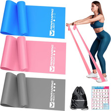 Resistance Bands for Working Out, Exercise Bands for Physical Therapy, Stretch,