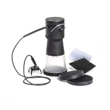 Woodland Scenics FS639 Static King, Black