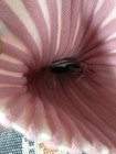 Bild 2 von 6