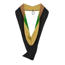 Endea Graduation Masters Hood For Business, Accounting - Drab/Antique Gold/Green