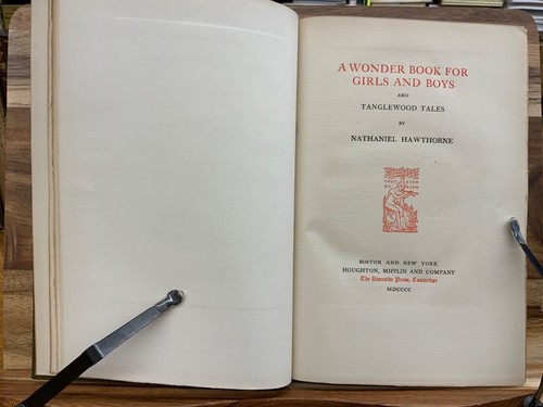 1900 Nathaniel Hawthorne Complete Autograph Edition Numbered SIGNED: Pyle, Smith - Picture 23 of 24