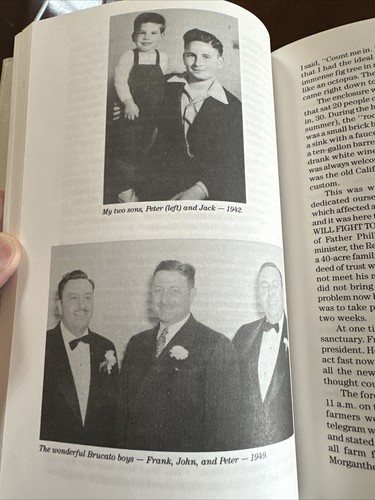 A Sicilian In America By John Brucato HC DJ 1st Edition Signed - Picture 6 of 8