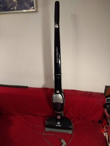 ELECTROLUX ZB2816 CT120NI Ergorapido 2 in 1 Akkustaubsauger