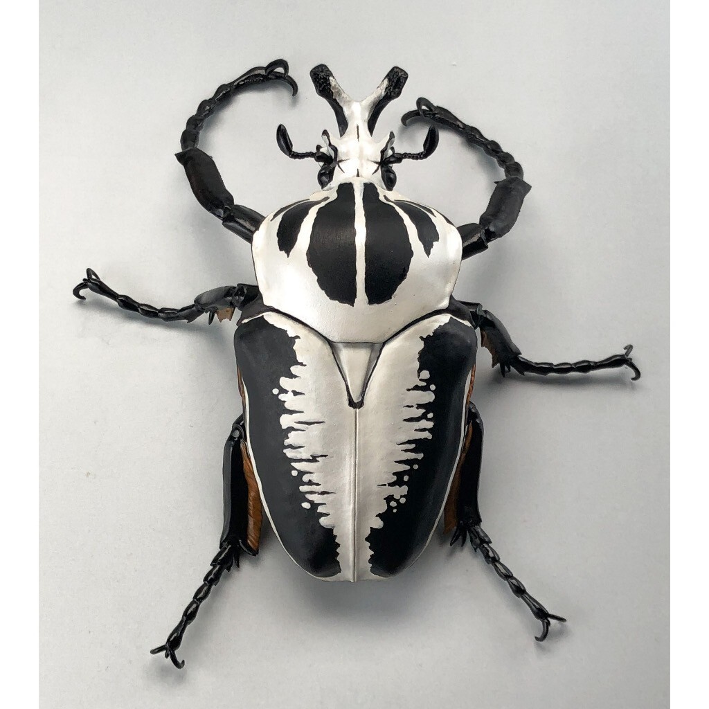 SO-TA 1/1 Goliathus goliathus Insect Capsule Toy All 4 type set