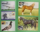 DR WHO INDIA 5 FDC MAXIMUM CARD HORSE/BIRD/AVIATION R63867