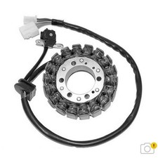Stator Electrosport-Triumph für Motorrad Ersatzteile Zubehör Teile