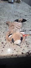 Ty Beanie Baby Ringo Raccoon 4014 1995