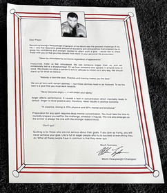 Mike Tyson Punch-Out 1987 &bull; Funciona con caja e insertos de colecci&oacute;n &bull; Videojuegos NES de colecci&oacute;n