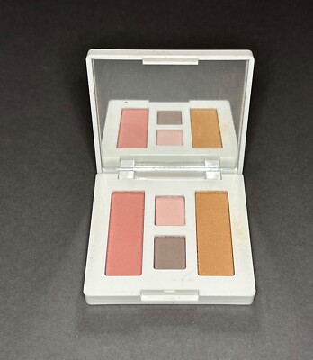 Clinique Colour Surge Eye Shadow Duo Rose Wine Pink Blush Sunkissed Bronzer