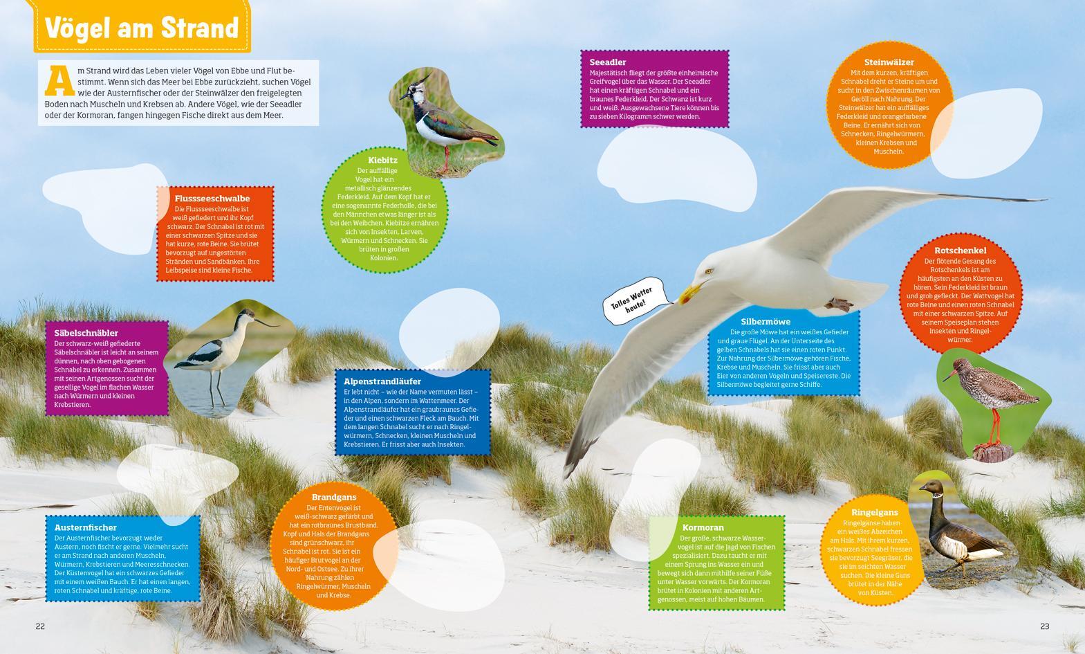Thumbnail - Was Ist Was Stickerheft Heimische Vögel Carolin Langbein