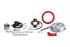 ACCENSIONE MALOSSI POWER PIAGGIO CIAO SI BRAVO GRILLO CON ACCENSIONE ELETTRONICA