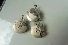 3 Automatique Horlogerie, 3 vieux Plantes pour Bracelet de Montre, Swiss