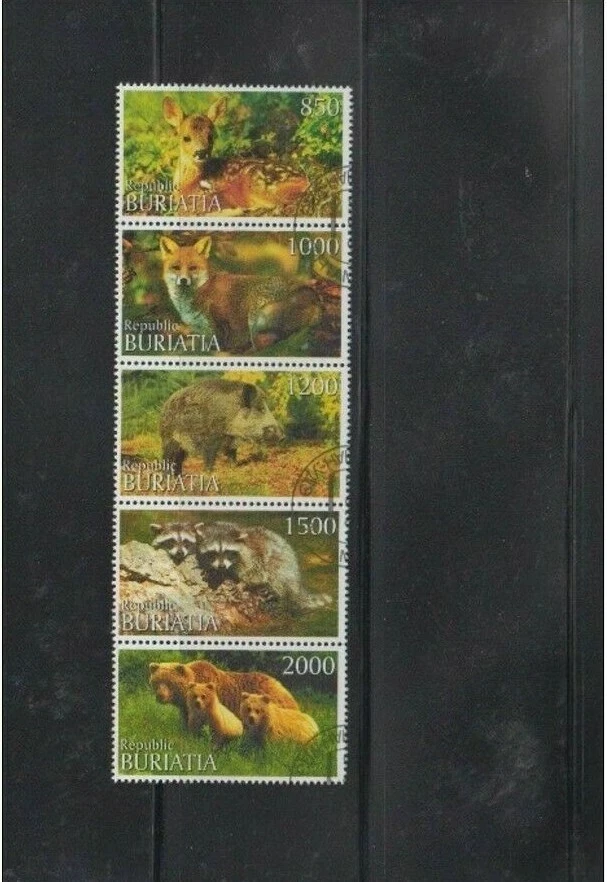Wildtiere Buratia schöner Zusammendruck - Bild 1 von 1