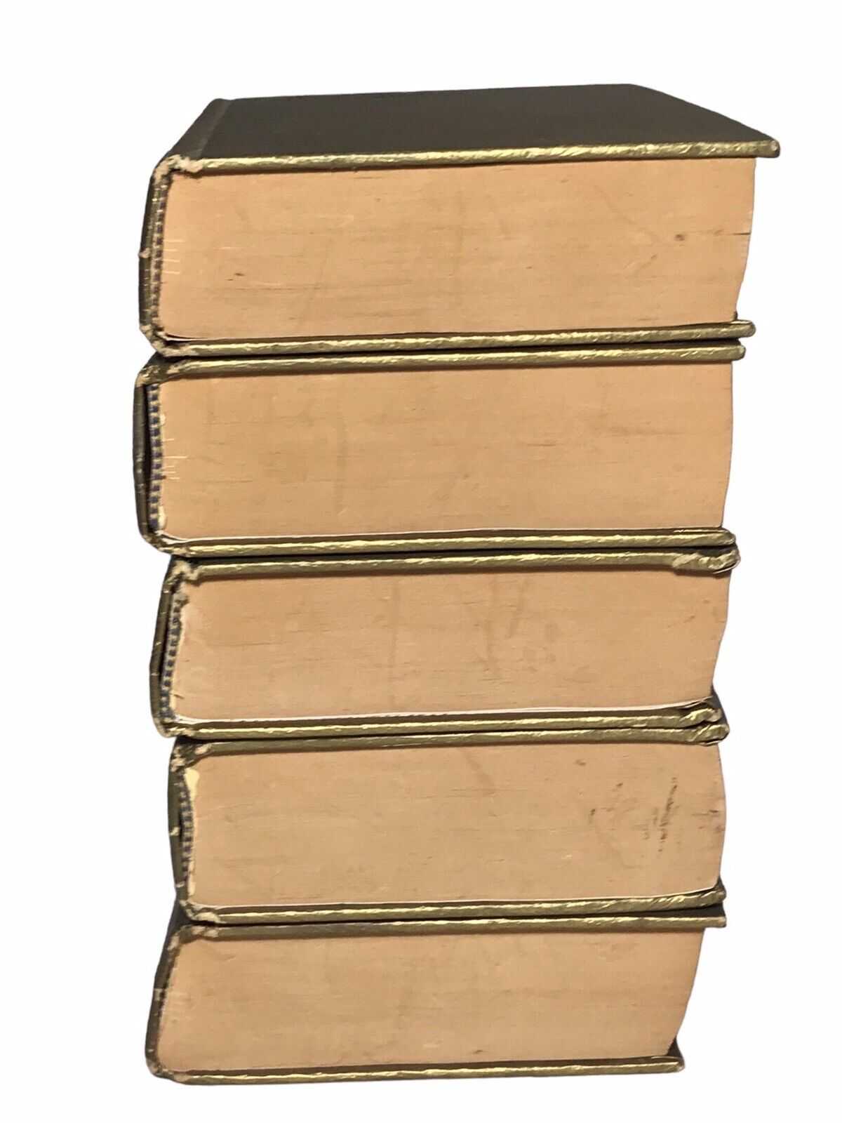 Foto 7 di 24