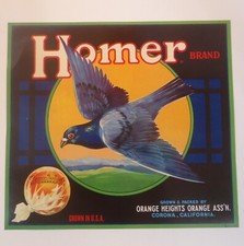 Lot of 10 Vintage ORIGINAL Crate Labels Homer Brand Oranges Pigeon Lot 35