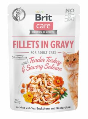 BRIT Care Fillets in gravy Tender Turkey & Savory Salmon 24 x 85 g
