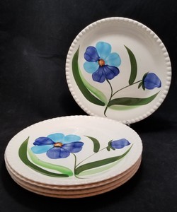Set-of-5-Vintage-9-25-034-Plates-Blue-Ridge-Southern-Potteries-Hand-Painted