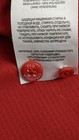 Bild 24 von 24
