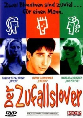 Der Zufallslover - David Schwimmer, Gwyneth Paltrow, Barbara Hershey - DVD 
