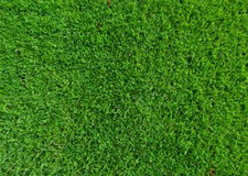 7X5FT Vinyl Studio Backdrop Photo Background Spring Green Grass Grassland Meadow