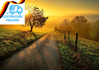 Ravensburger Puzzle 1000 Teile Landschaft In Morgensonne - Farbenfrohes Puzzle F