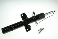 AUTOMEGA Stoßdämpfer Hinterachse für FORD