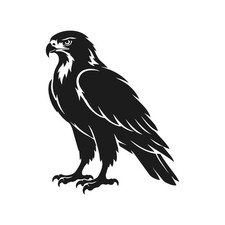 Detailed Hawk Wildlife Bird Vinyl Decal Window Wild Birds Life Car Sticker