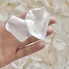 180 PCS Real Dried White Rose Petals, 1.75oz Biodegradable Freeze Dried Flowe...