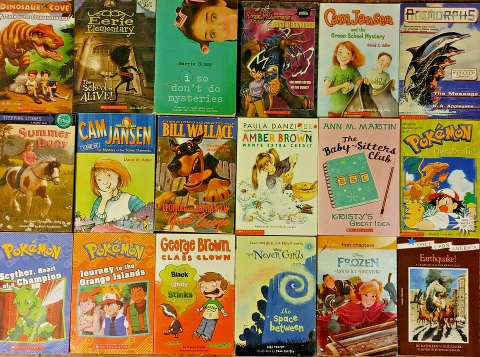 RANDOM Lot of 100 3rd Grade Chapter Book ACCELERATED READER Level 3 Unsorted Mix Foto 3 de 4